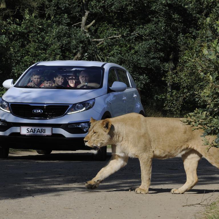 Givskud Zoo Hostel מראה חיצוני תמונה