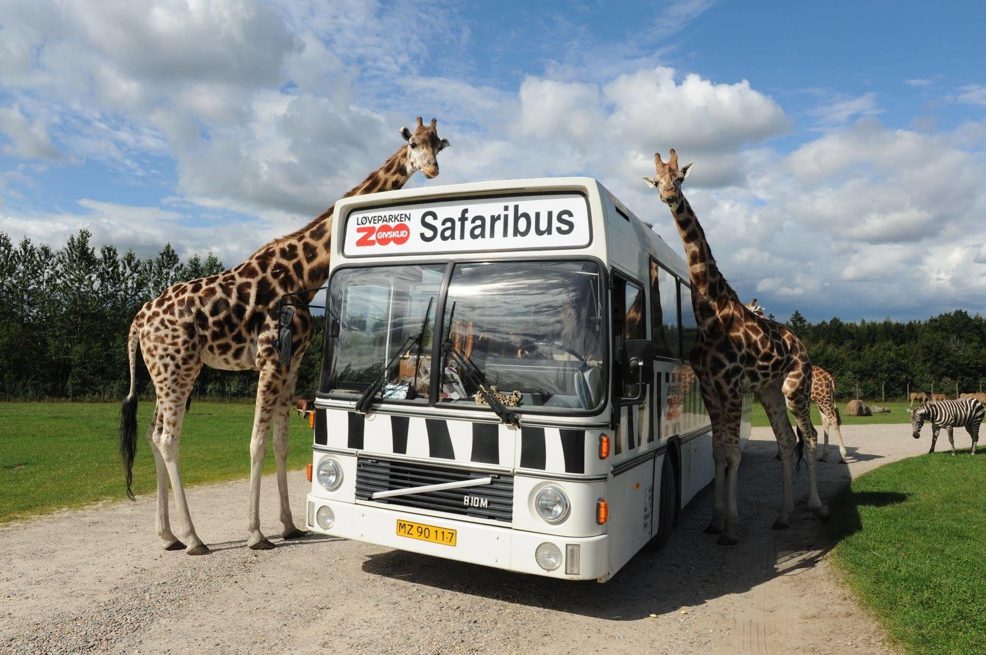 Givskud Zoo Hostel מראה חיצוני תמונה