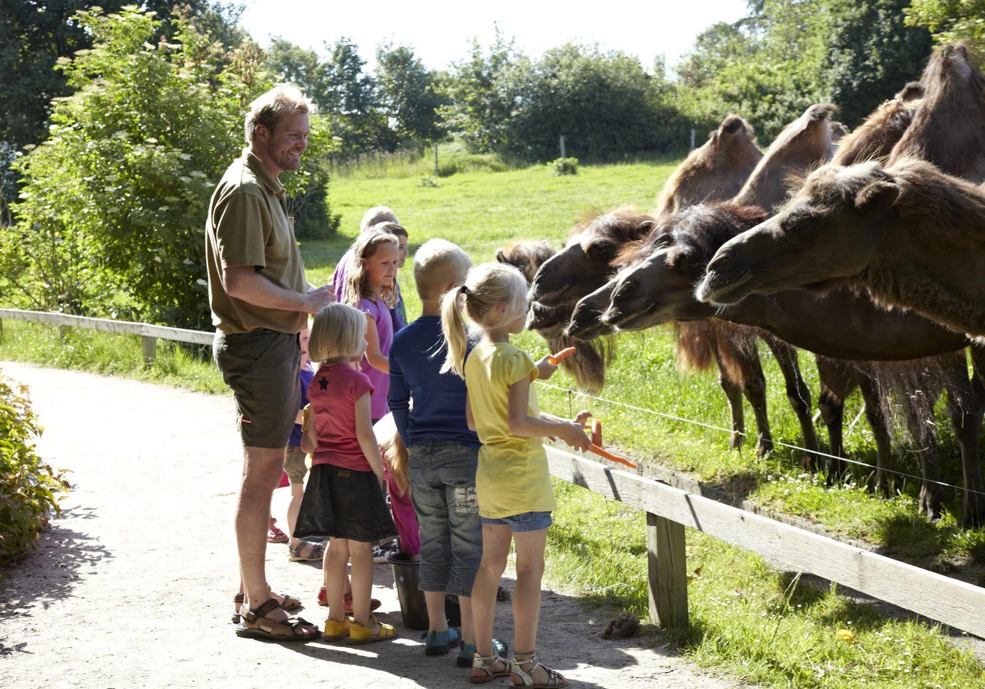 Givskud Zoo Hostel מראה חיצוני תמונה
